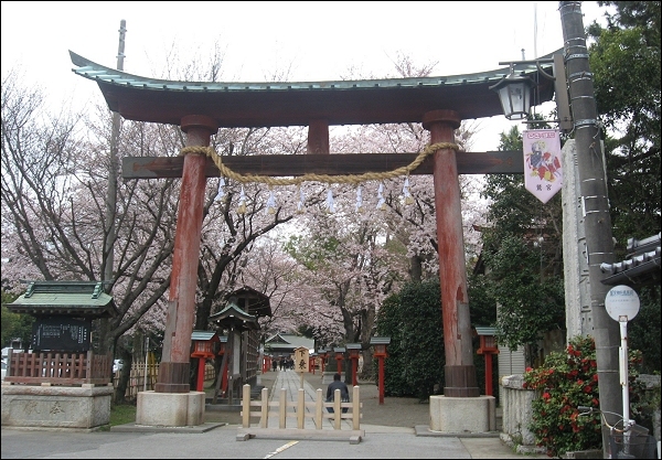 Le torii du sanctuaire