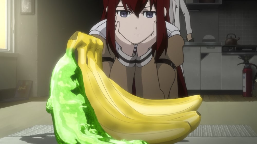 Steins;Gate - 2011